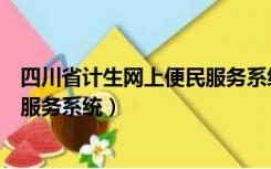 四川省计生网上便民服务系统手机版（四川省计生网上便民服务系统）