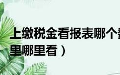 上缴税金看报表哪个数（上缴税金在财务报表里哪里看）