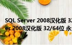 SQL Server 2008汉化版 32/64位 永久免费版（SQL Server 2008汉化版 32/64位 永久免费版功能简介）