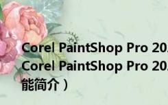 Corel PaintShop Pro 2020破解版 32/64位 永久免费版（Corel PaintShop Pro 2020破解版 32/64位 永久免费版功能简介）