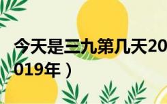 今天是三九第几天2019（今天是几九第几天2019年）