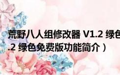 荒野八人组修改器 V1.2 绿色免费版（荒野八人组修改器 V1.2 绿色免费版功能简介）