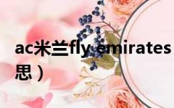 ac米兰fly emirates（fly emirates是什么意思）