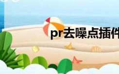 pr去噪点插件（pr去噪点）