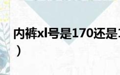 内裤xl号是170还是175（l号是170还是175）