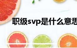 职级svp是什么意思（svp是什么意思）