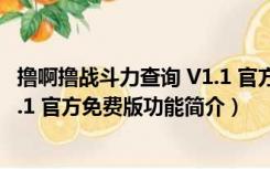 撸啊撸战斗力查询 V1.1 官方免费版（撸啊撸战斗力查询 V1.1 官方免费版功能简介）