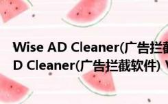 Wise AD Cleaner(广告拦截软件) V1.19 官方版（Wise AD Cleaner(广告拦截软件) V1.19 官方版功能简介）