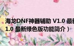 海龙DNF神器辅助 V1.0 最新绿色版（海龙DNF神器辅助 V1.0 最新绿色版功能简介）