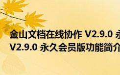 金山文档在线协作 V2.9.0 永久会员版（金山文档在线协作 V2.9.0 永久会员版功能简介）