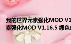 我的世界元素强化MOD V1.16.5 绿色免费版（我的世界元素强化MOD V1.16.5 绿色免费版功能简介）