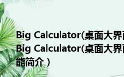 Big Calculator(桌面大界面计算器小工具) V1.33 免费版（Big Calculator(桌面大界面计算器小工具) V1.33 免费版功能简介）