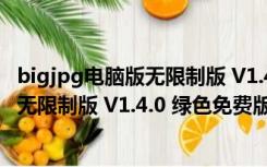 bigjpg电脑版无限制版 V1.4.0 绿色免费版（bigjpg电脑版无限制版 V1.4.0 绿色免费版功能简介）