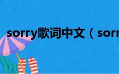 sorry歌词中文（sorry歌词justin bieber）