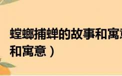 螳螂捕蝉的故事和寓意道理（螳螂捕蝉的故事和寓意）