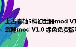 上古卷轴5科幻武器mod V1.0 绿色免费版（上古卷轴5科幻武器mod V1.0 绿色免费版功能简介）