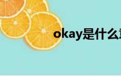 okay是什么意思（okay）