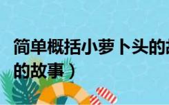 简单概括小萝卜头的故事（简单概述小萝卜头的故事）