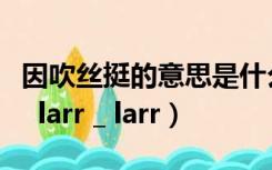 因吹丝挺的意思是什么（因吹丝挺是什么意思  larr _ larr）