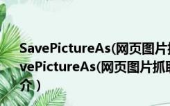 SavePictureAs(网页图片抓取软件) V10.3 绿色免费版（SavePictureAs(网页图片抓取软件) V10.3 绿色免费版功能简介）