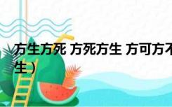 方生方死 方死方生 方可方不可 方不可方可是什么意思（方生）