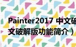 Painter2017 中文破解版（Painter2017 中文破解版功能简介）