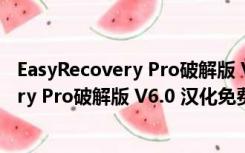 EasyRecovery Pro破解版 V6.0 汉化免费版（EasyRecovery Pro破解版 V6.0 汉化免费版功能简介）