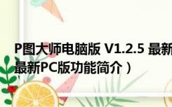 P图大师电脑版 V1.2.5 最新PC版（P图大师电脑版 V1.2.5 最新PC版功能简介）