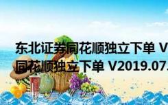 东北证券同花顺独立下单 V2019.07.20 官方版（东北证券同花顺独立下单 V2019.07.20 官方版功能简介）