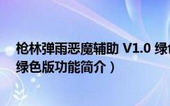 枪林弹雨恶魔辅助 V1.0 绿色版（枪林弹雨恶魔辅助 V1.0 绿色版功能简介）