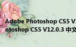 Adobe Photoshop CS5 V12.0.3 中文绿色版（Adobe Photoshop CS5 V12.0.3 中文绿色版功能简介）