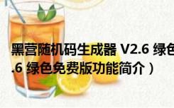 黑营随机码生成器 V2.6 绿色免费版（黑营随机码生成器 V2.6 绿色免费版功能简介）