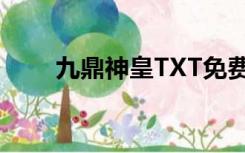 九鼎神皇TXT免费下载（九鼎神皇）