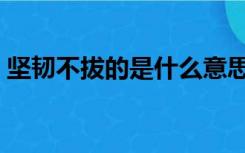 坚韧不拔的是什么意思（坚韧不拔的意思是）