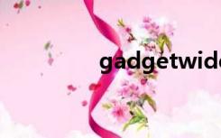 gadgetwide tool怎么用