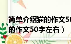 简单介绍猫的作文50字左右稿（简单介绍猫的作文50字左右）