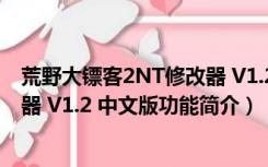 荒野大镖客2NT修改器 V1.2 中文版（荒野大镖客2NT修改器 V1.2 中文版功能简介）