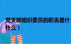 党支部组织委员的职责是什么呢（党支部组织委员的职责是什么）