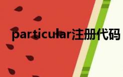 particular注册代码（particular注册码）