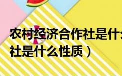 农村经济合作社是什么性质的（农村经济合作社是什么性质）