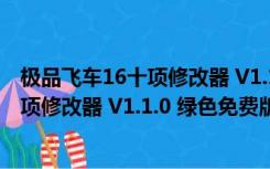 极品飞车16十项修改器 V1.1.0 绿色免费版（极品飞车16十项修改器 V1.1.0 绿色免费版功能简介）