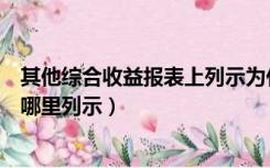 其他综合收益报表上列示为什么项目（其他综合收益在报表哪里列示）