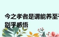 今之孝者是谓能养至于犬马皆能有养不敬何以别乎感悟