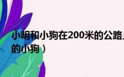 小明和小狗在200米的公路上（一条马路长200米小亮和他的小狗）