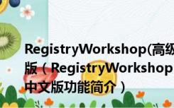 RegistryWorkshop(高级注册表编辑器) V5.0.1 官方中文版（RegistryWorkshop(高级注册表编辑器) V5.0.1 官方中文版功能简介）