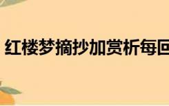 红楼梦摘抄加赏析每回（红楼梦摘抄加赏析）