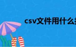 csv文件用什么打开（csv文件）