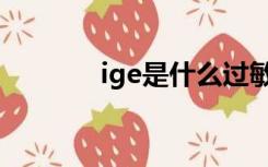 ige是什么过敏（ige是什么）