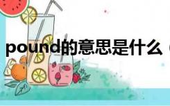 pound的意思是什么（pounds是什么意思）