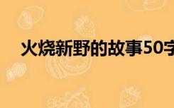 火烧新野的故事50字（火烧新野的故事）